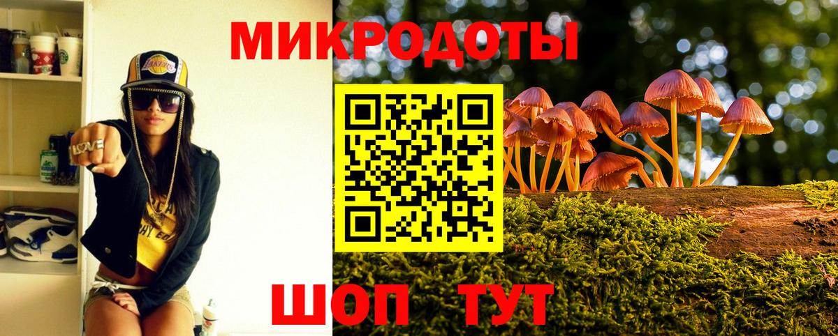 Псилоцибиновые грибы Cubensis Заинск